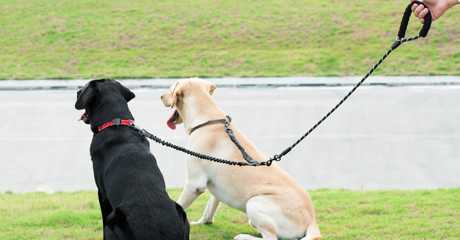 Dual Dog Leash, Double Dog Leash, 360 Swivel No Tangle Walking Leash, Shock Absorbing Bungee for Two Dogs, Black, Large (25-150 Lbs)