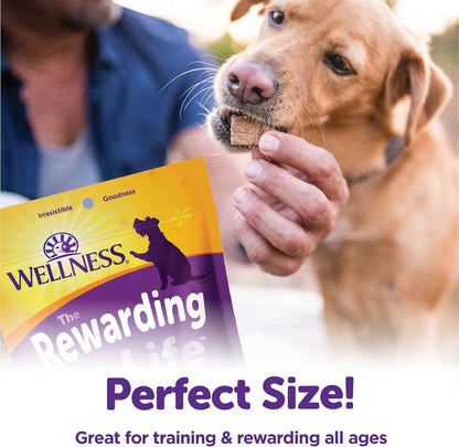 Rewarding Life Grain-Free Soft Dog Treats (Previously Wellbites), Made in USA with Natural Ingredients, Ideal for Training (Chicken & Lamb Recipe, 6-Ounce Bag)